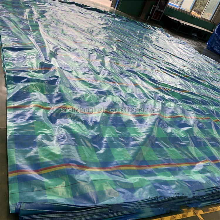 UV Protected PE Tarpaulin Poly Tarp for Agriculture/Industrial Cover in Standard Size
