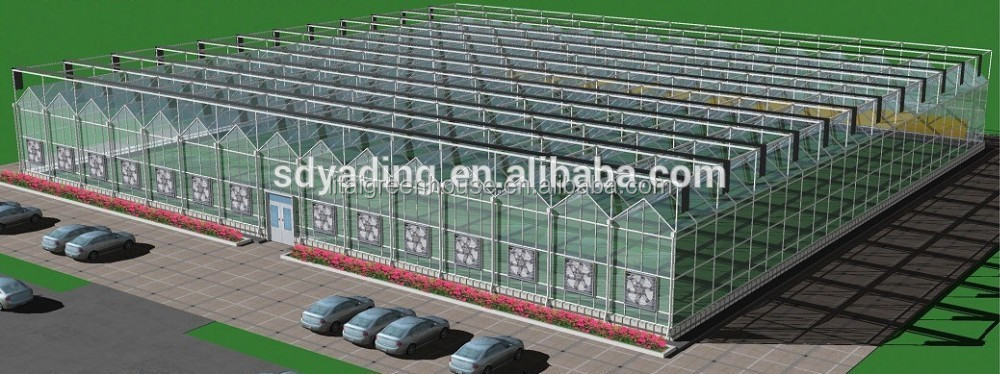 Improve Ventilation in Multi-Span Agricultural Greenhouses with Rack and Pinion System