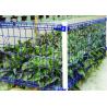 Buy cheap 75*150mm Double Loop BRC Welded Wire Garden Fence from wholesalers