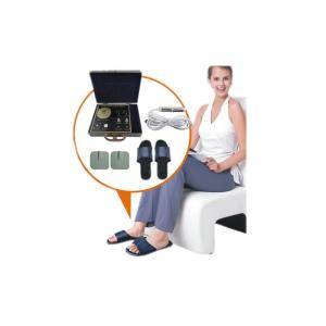 Quantum Bio-Electric Whole Health Analyzer For Endocrine System