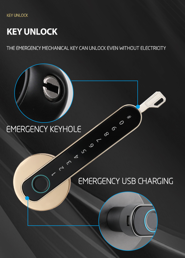 Bluetooth / Tuya APP Smart Door Knob Fingerprint Zinc Alloy Material