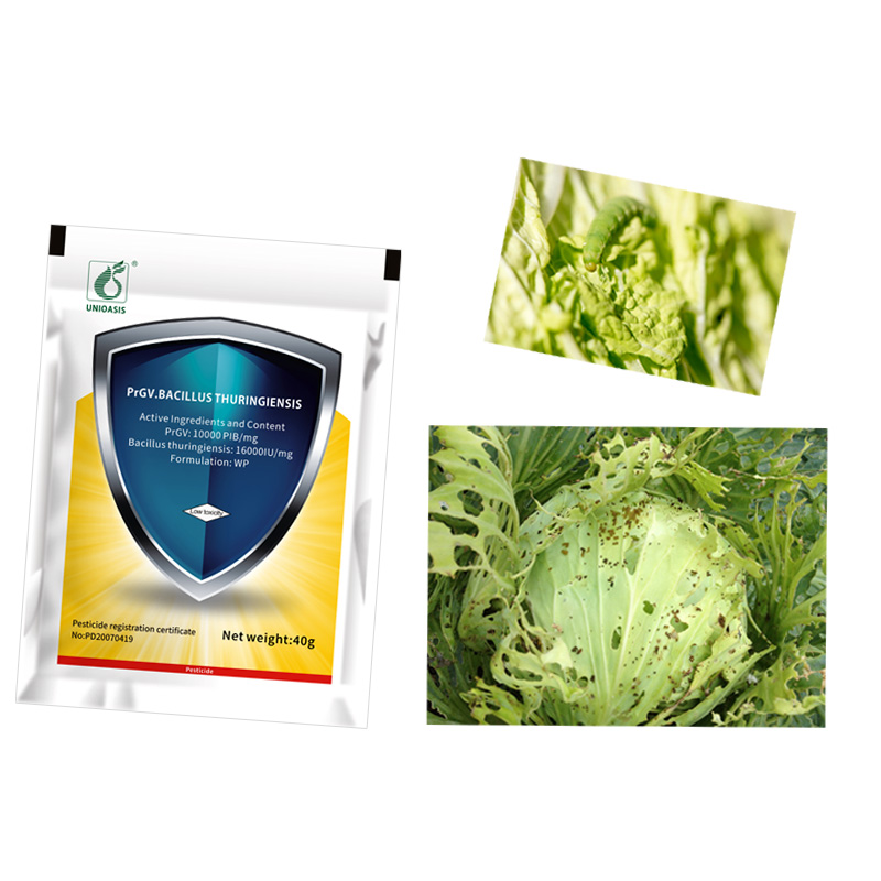 Organic Natural Vegetable Insecticides Rapae Granulosis Virus WP PrGV