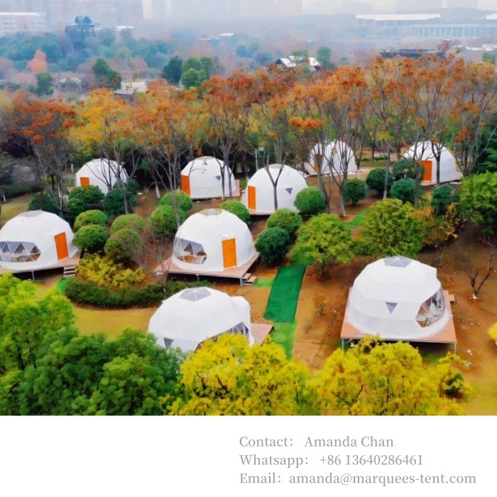 6m 6-8 Person Transparent Glamping Hotel Igloo Geodesic Dome Tent For Outdoor Activities