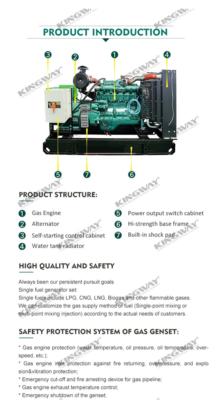 Power plant use container Natural Gas Generator 800kw 1000KW Silent Single Phase three phase 380V/220V Auto Start Brushless