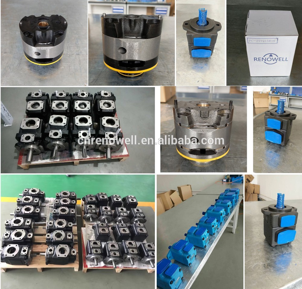 Blue Vane Type Pump One Year Guarantee For Injection Moulding Machine