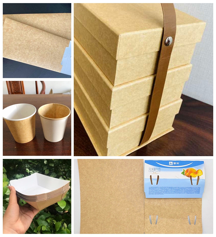 200gsm 250gsm Compostable Kraft Paper For Food Tray 790mm 890mm Signle Coated