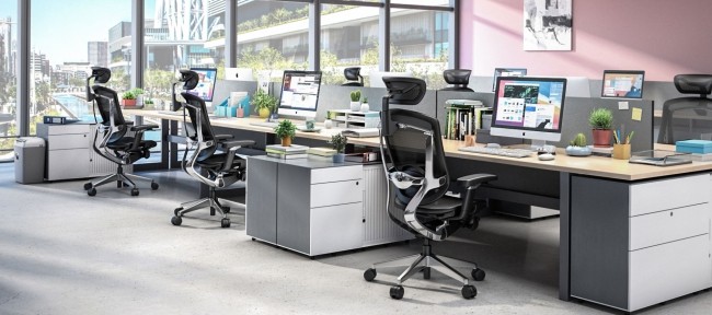 Marrit 5D Arms Ergonomic Chairs Home Office Mesh Chair Swivel Office Chairs