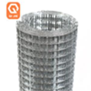 2mm 1x1/2 2x4 Galvanised Welded Wire Mesh Roll Aviary Mesh Roll Smooth Surface