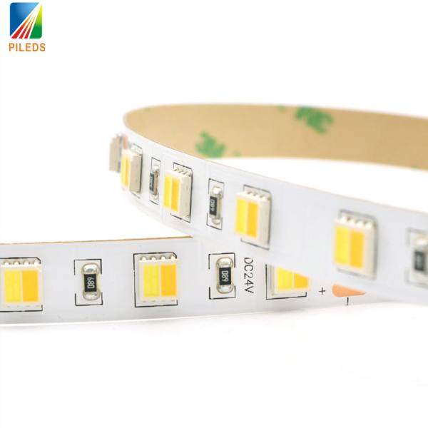 CCT LED Strip Lights 5050 300 LEDs Warm/White Double Color Temperature Tape