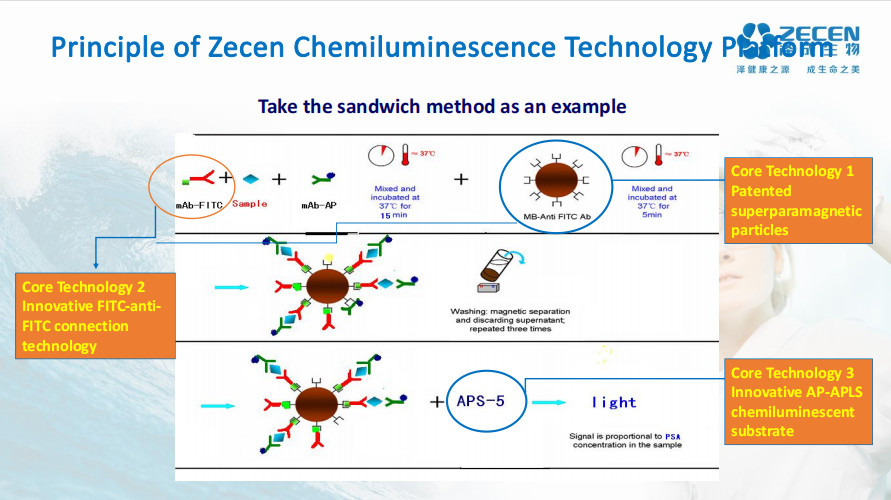 Kidney Function Test β2 Mg Test kit Diagnostic β2 Microglobulin Clinical Chemistry Reagent For CIA1200M Analyzer