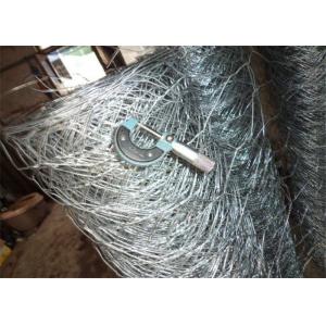 cheap chicken wire/coated chicken wire/chicken net/small chicken wire/hex wire
