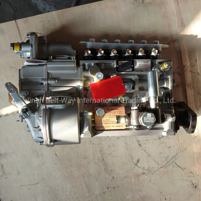 Original Diesel Engine Spare Parts for PS8500 Sinotruk Fuel Injector Pump Vg1560080022
