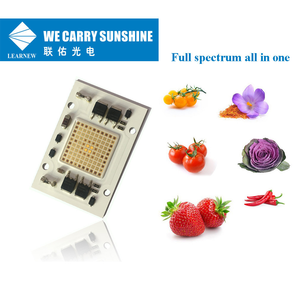 China 80-100umol/s AC 220V COB LED 40*60mm 50 watt COB LED Low Thermal Resistance on sale