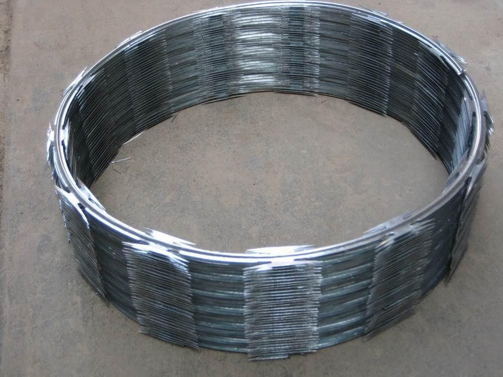 Single Coil Concertina Razor Wire Diameter 450mm Barbed Wire CBT-65