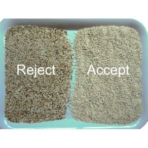 High Speed Mini Rice Color Sorting Machine For Yellow / Bastami Rice