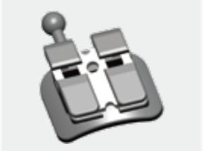 Transcend ROTH Prescription Orthodontic Brackets Class II Self Ligating Passive