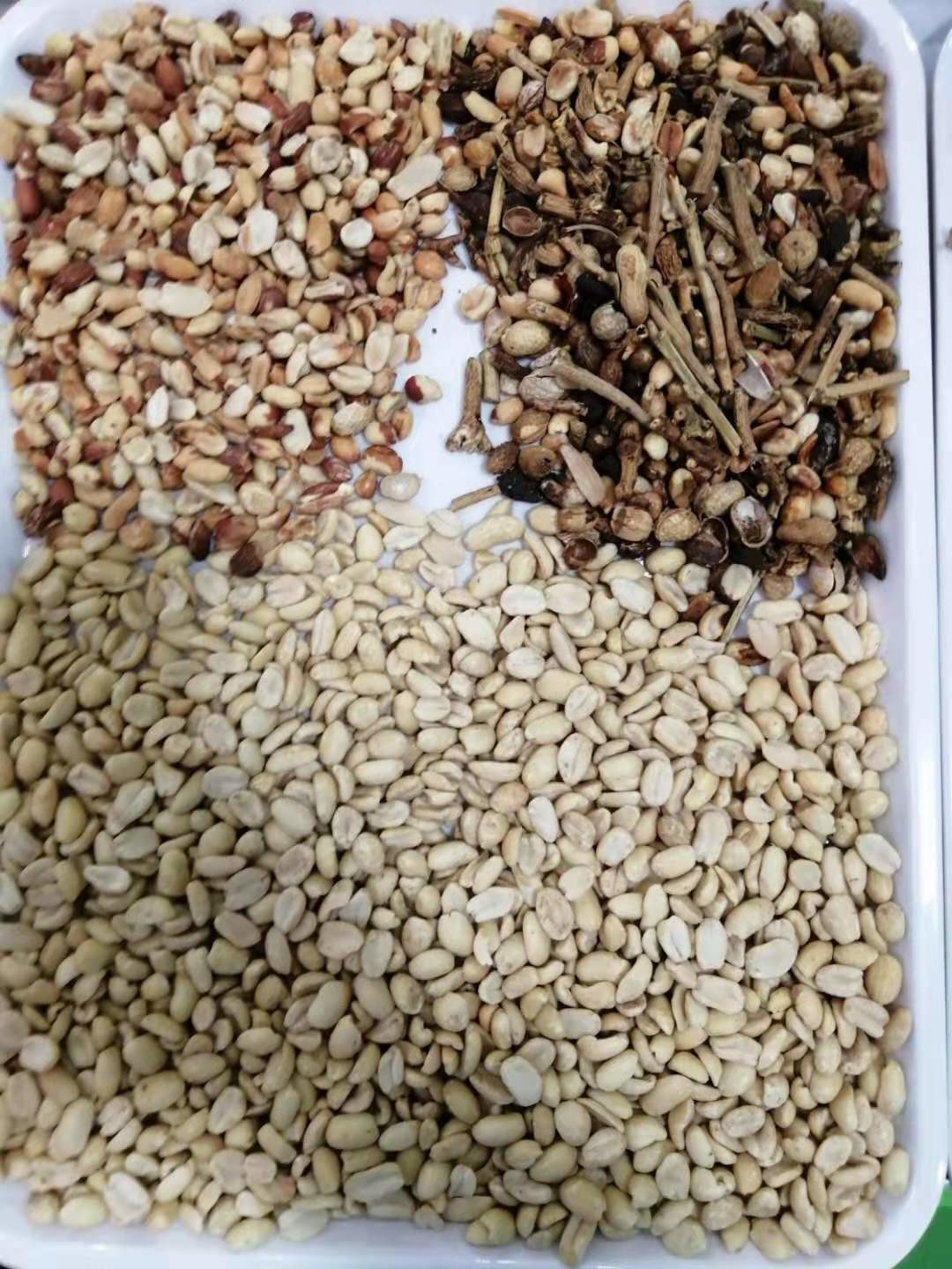 Peanut Groundnut Optical Sorting Machine High Accuracy Stainless Steel Almond Raisin Sorter