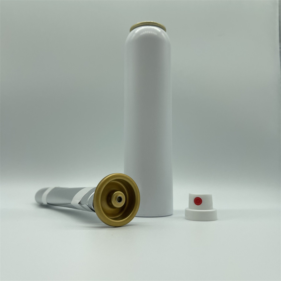 Advanced Aerosol Bag Valve for Contamination-Free Dispensing – Perfect for Industrial and Household Applications