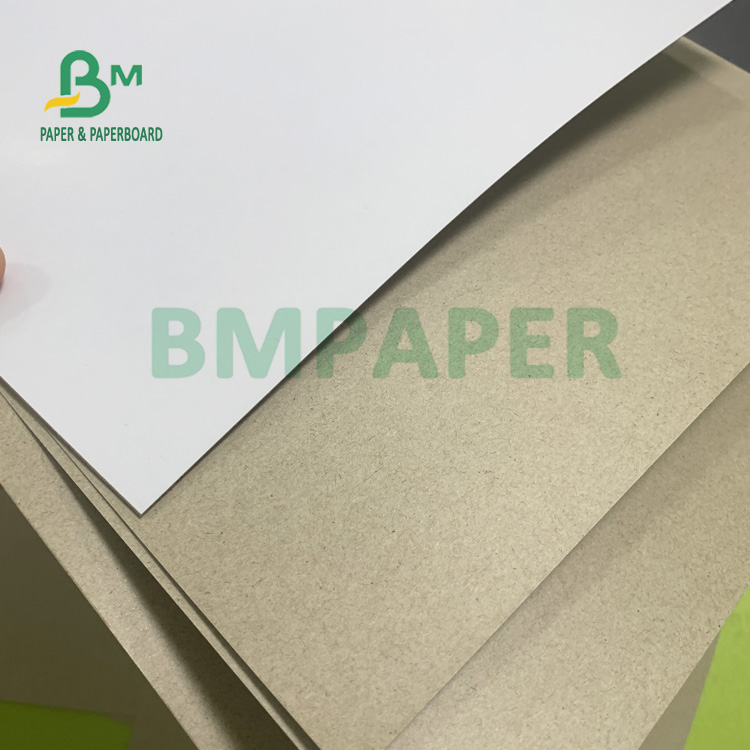 300gsm Coated White Board With Grey Back Good Stiffness 630mm X 860mm