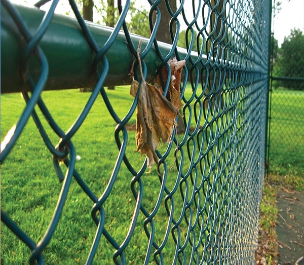 40*40MM PVC Coated Wire Mesh Garden Fence , Heavy Duty Wire Fence Panels