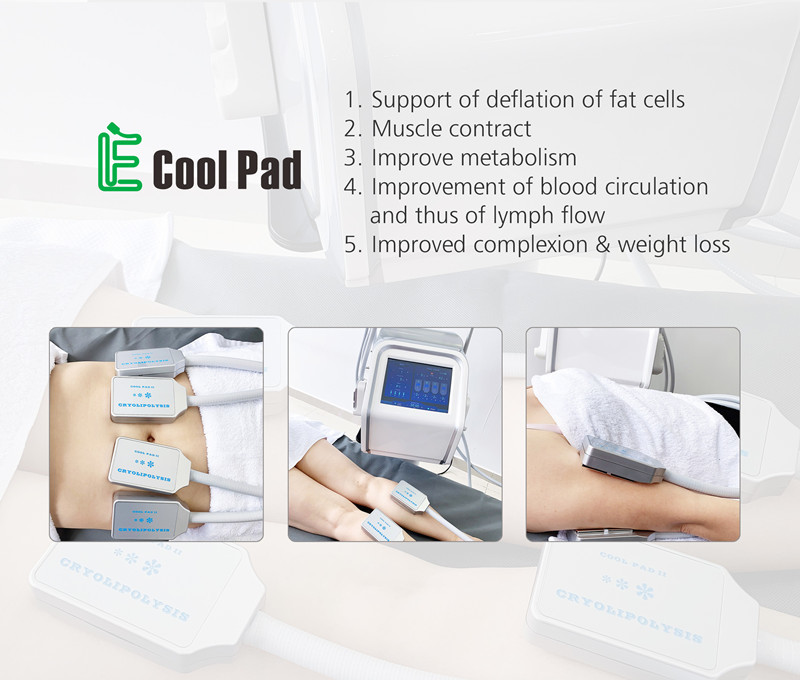 Cryolipolysis EMS Machine CRYO Beauty Salon Euqipment for Weilght Loss With 4 Handles
