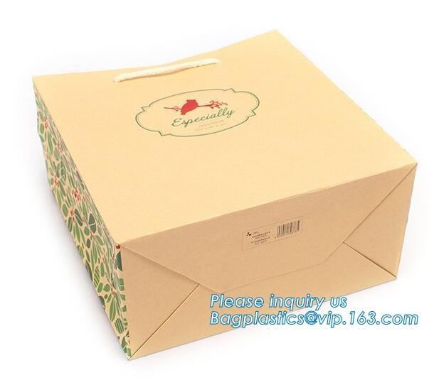 Luxury Paper Gift Carrier Shopping Bag Party Bag with Handles,printed paper carrier bag for apparel shopping bag, bageas