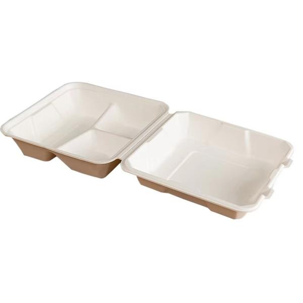 Quality Biodegradable Bagasse Sugarcane Clamshell Food Container 3 Compartment Disposable for sale