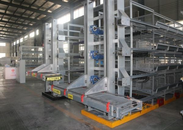 Hot -dip Galvanizing technology Automatic Chicken Cage Conventional Cages For