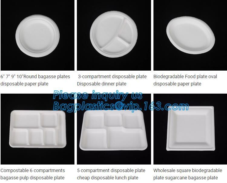Meal Prep Containers Free Sample Bento Lunch Box Biodegradable Food Container Plastic Wheat Straw Lunch Box bagplastics