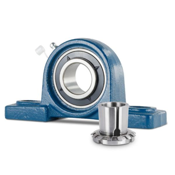 Pillow Block Flange Bearing Stainless Steel Mounted Ball Bearings With Two Bolt