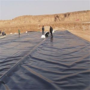 Textured Surface HDPE Geomembrane Liners for Waterproof Projects 1.0mm 1.5mm 2