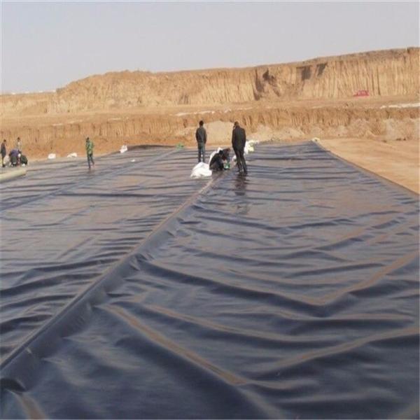 Asian Design Style 1mm Black HDPE Geomembrane Dam Liner for Environmental