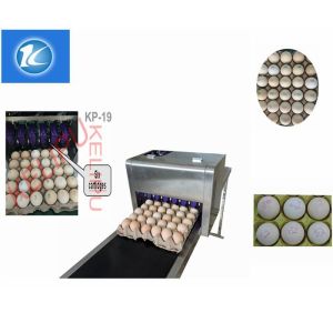 High Output Egg Inkjet Coding Printer Automatically Updated For Time Characters