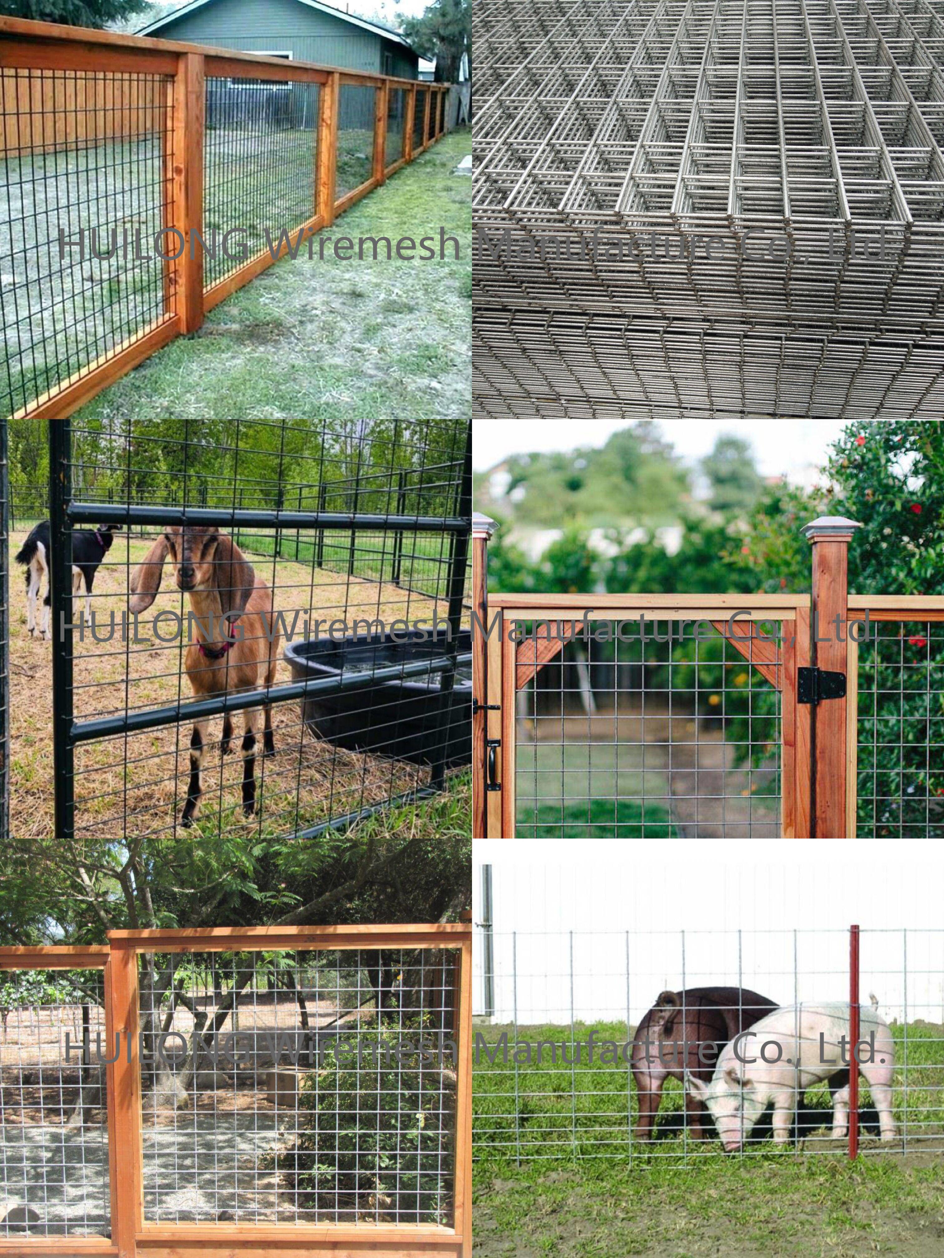 1 4 Inch Welded Wire Cattle Panels 4x4 Mesh Openings with Solid Structure
