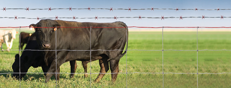 Iron 50m Long Woven Wire Cattle Fencing No Rust for farm