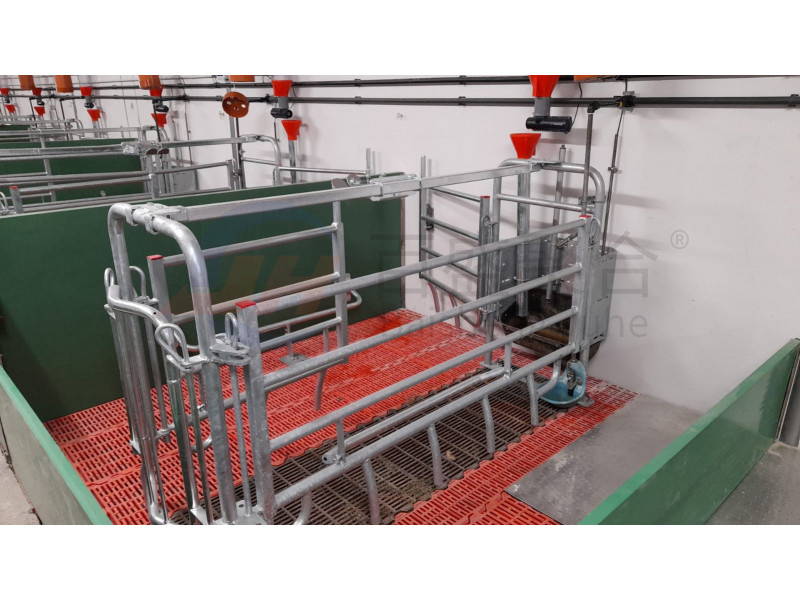 High Tolerance Pig Farrowing Crates for Customized Agricultural Livestock Equipment