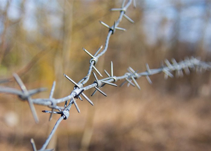 Garden Anti-Theft Twist 3or 4inch Barb Distanc Hot Dipped Galvanized Barbed Wire