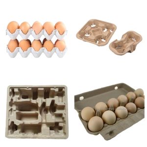 China Wanyou Waste Paper Rotary Egg Tray Machine With Hydraulic Pulper on sale