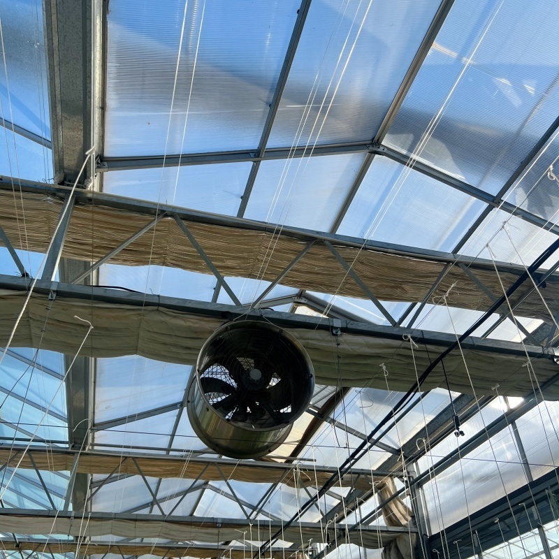 Reasonably Priced Glass Greenhouse Hydroponics System for Flowers
