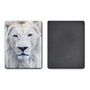 Customized 3D Fridge Magnets Size 7x11cm Or 7x9cm CMYK 4 Colors Printing