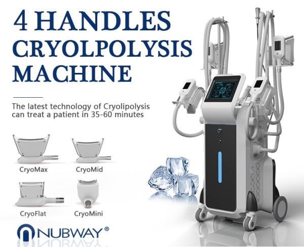4 handpieces fat reduction cryotherapy fat freezing cryolipolysis slimming