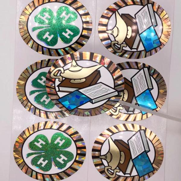 Free Design Custom Anime Stickers Roll Children Clothes Sticker Label Anti