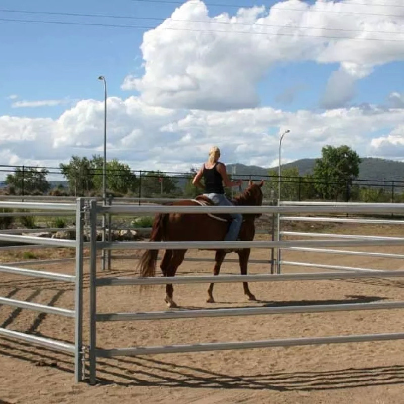 ASTM 2x4 Horse Fence Panels Galvanized Portable Cattle Fence Panels