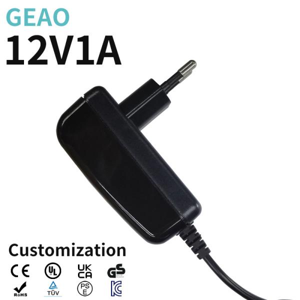 12V 1A AC Power Adapter For Single Color Neon / Beauty Equipment / Digital Photo