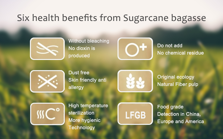 100% Biodegradable Sugarcane Pulp Disposable Cups With Lids