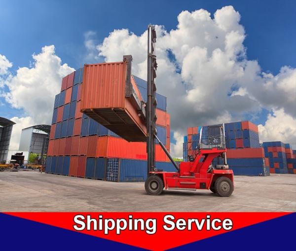 Ocean Freight Logistics , International Freight Forwarding Services Yiwu Ningbo