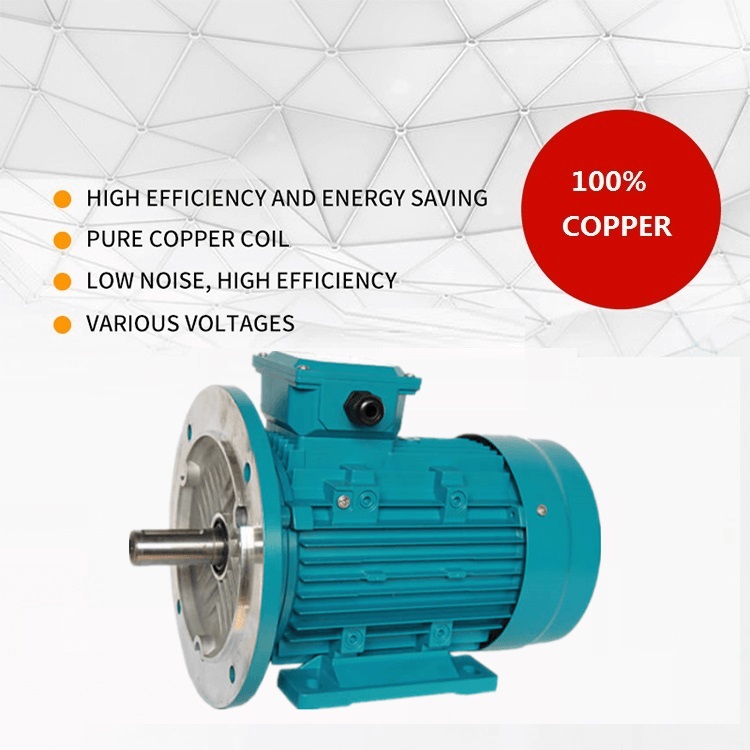three phase electric motor