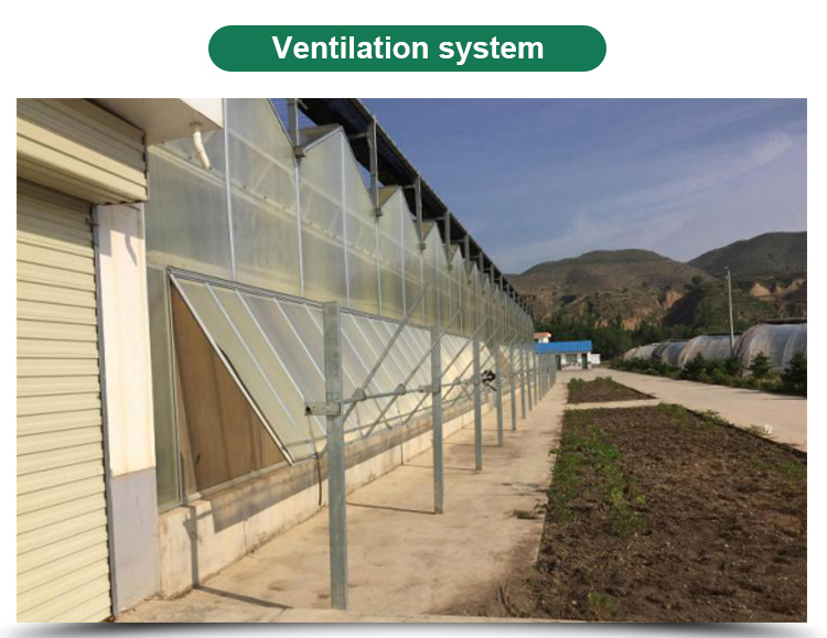 PC Greenhouse for Multi-Span Agricultural Greenhouses Section 8.0m Strong Structure