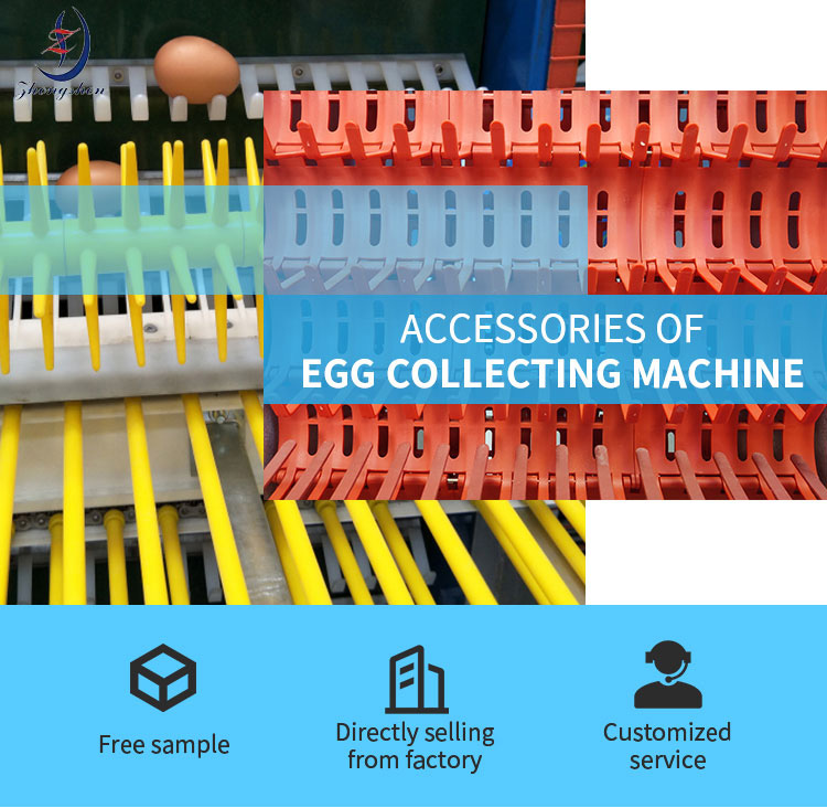 Egg Collection Machine 304 Stainless Steel Double Ear Chain 1.5 Meters/strip