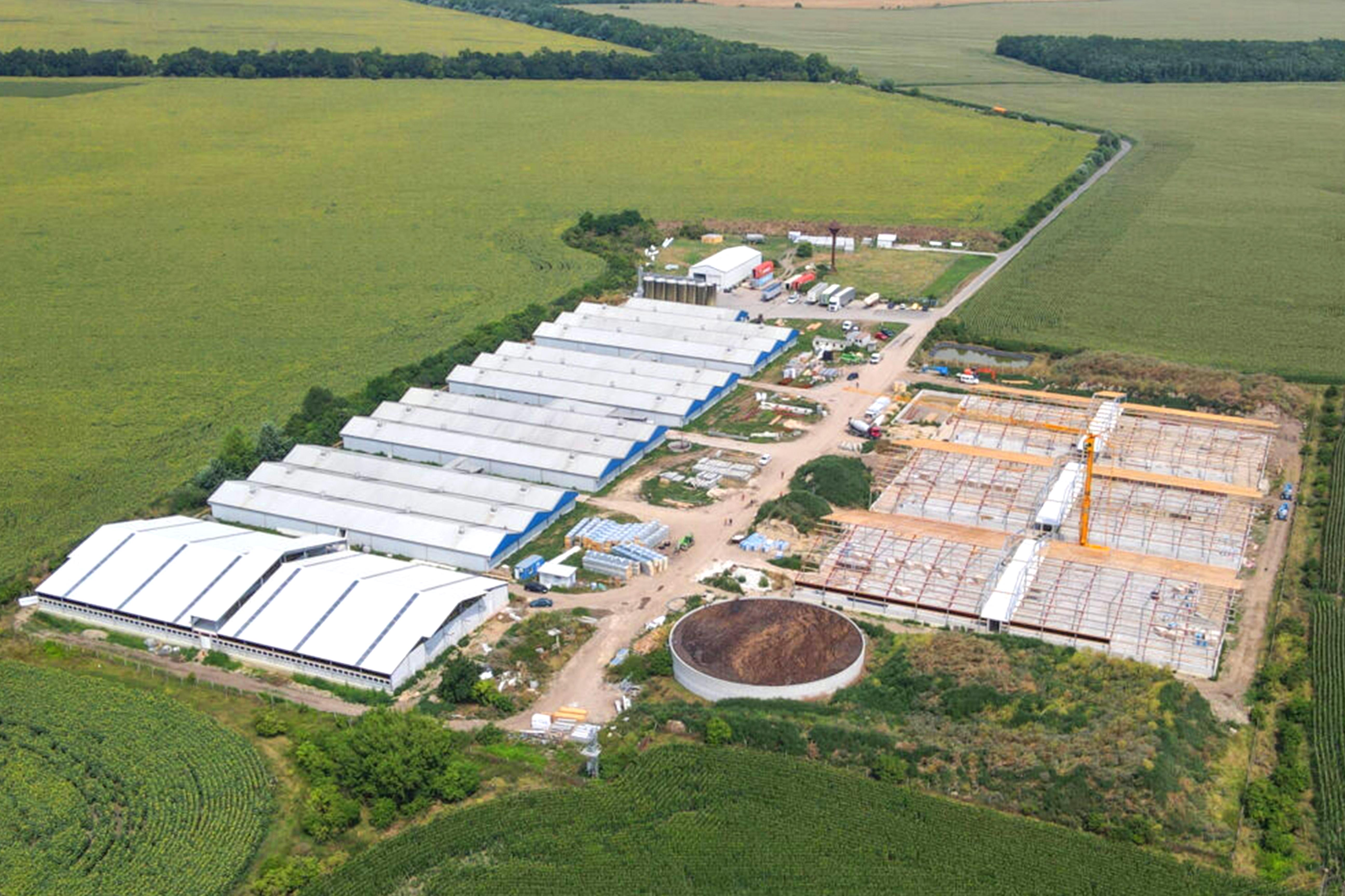 ISO9001 2008/CE/BV Certified Prefabricated Steel Beams H Beams Livestock Shed for Cow